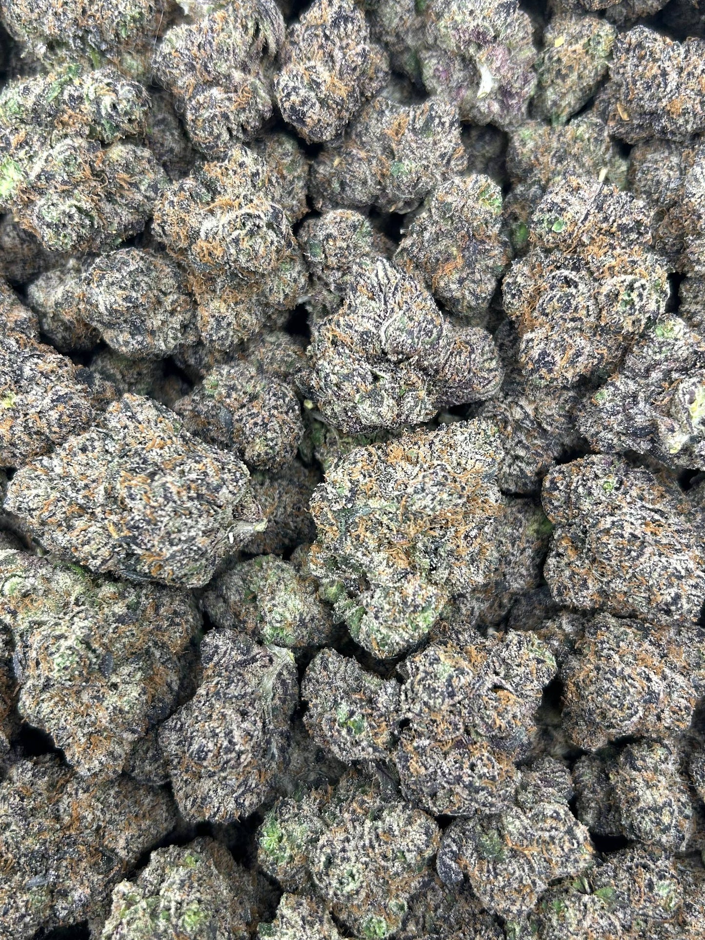 BLUE CHERRY TARTZ 🫐