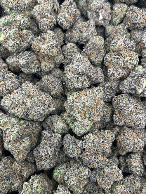 BLUE CHERRY TARTZ 🫐