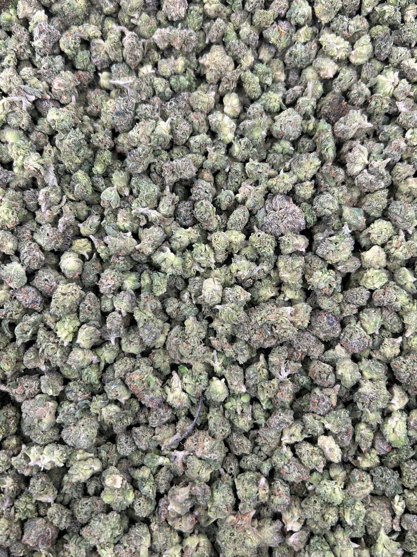 LEMON CHERRY CRUSH SMALLS 🍋