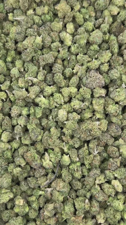 LEMON CHERRY CRUSH SMALLS 🍋