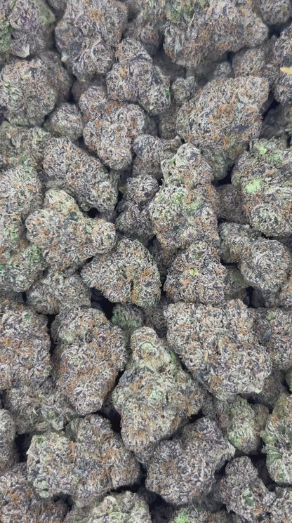 BLUE CHERRY TARTZ 🫐