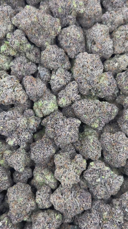 GRAPE STOMPERZ 🍇